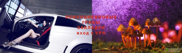 apvp Осинники